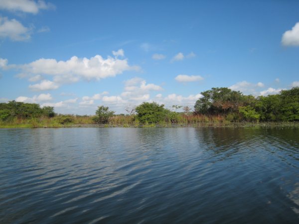 200 Acres on the New River in Belize