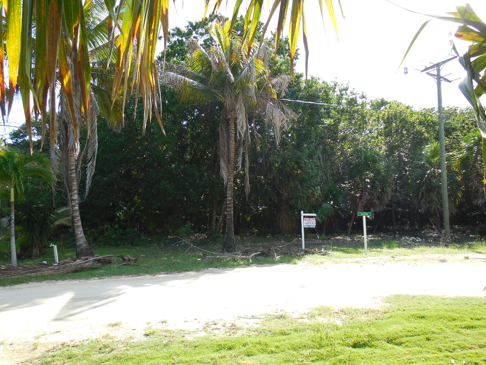 Mayan Seaside Lot 59