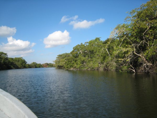 200 Acres on the New River in Belize