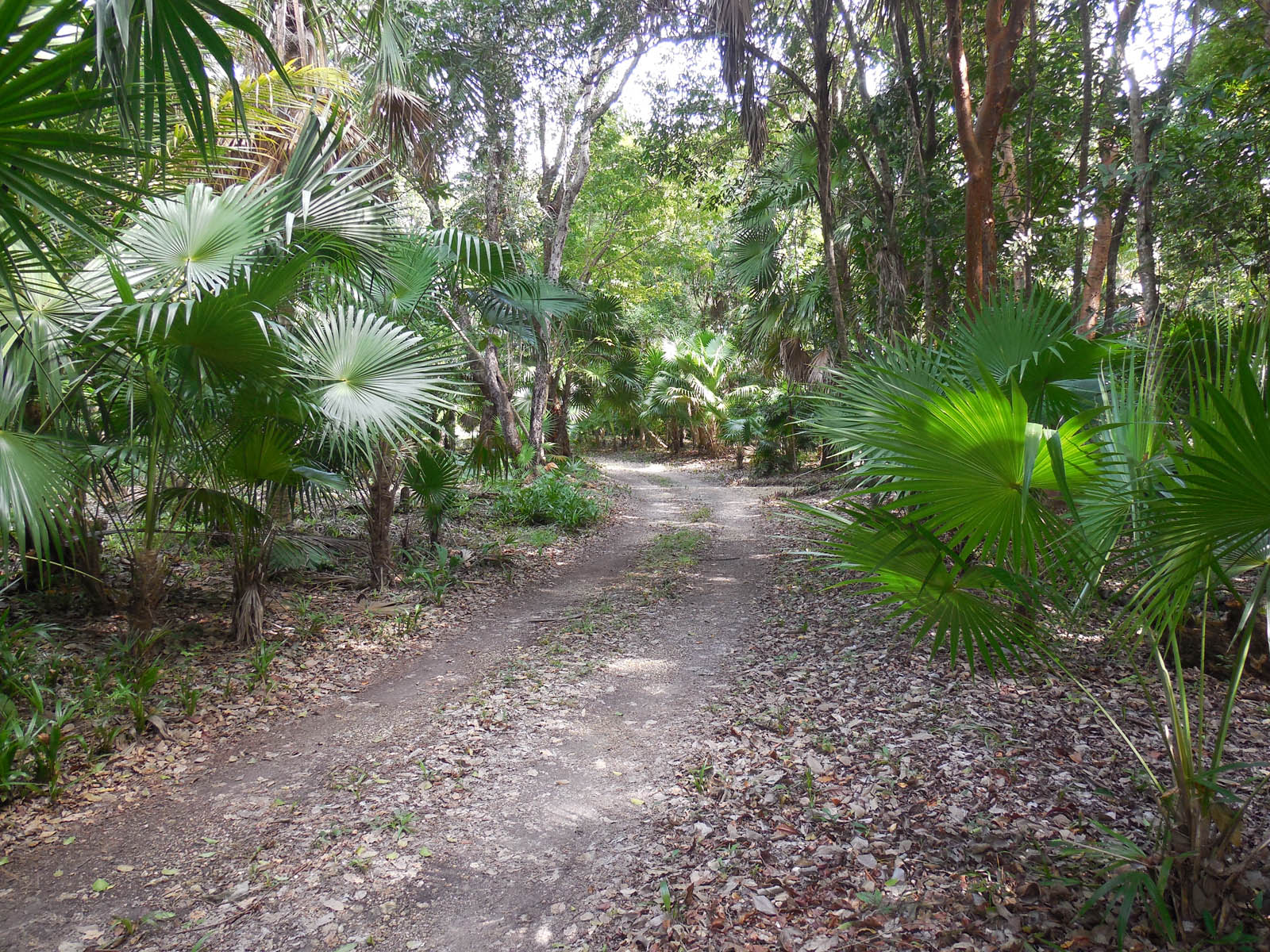 Mayan Seaside Entrance Park