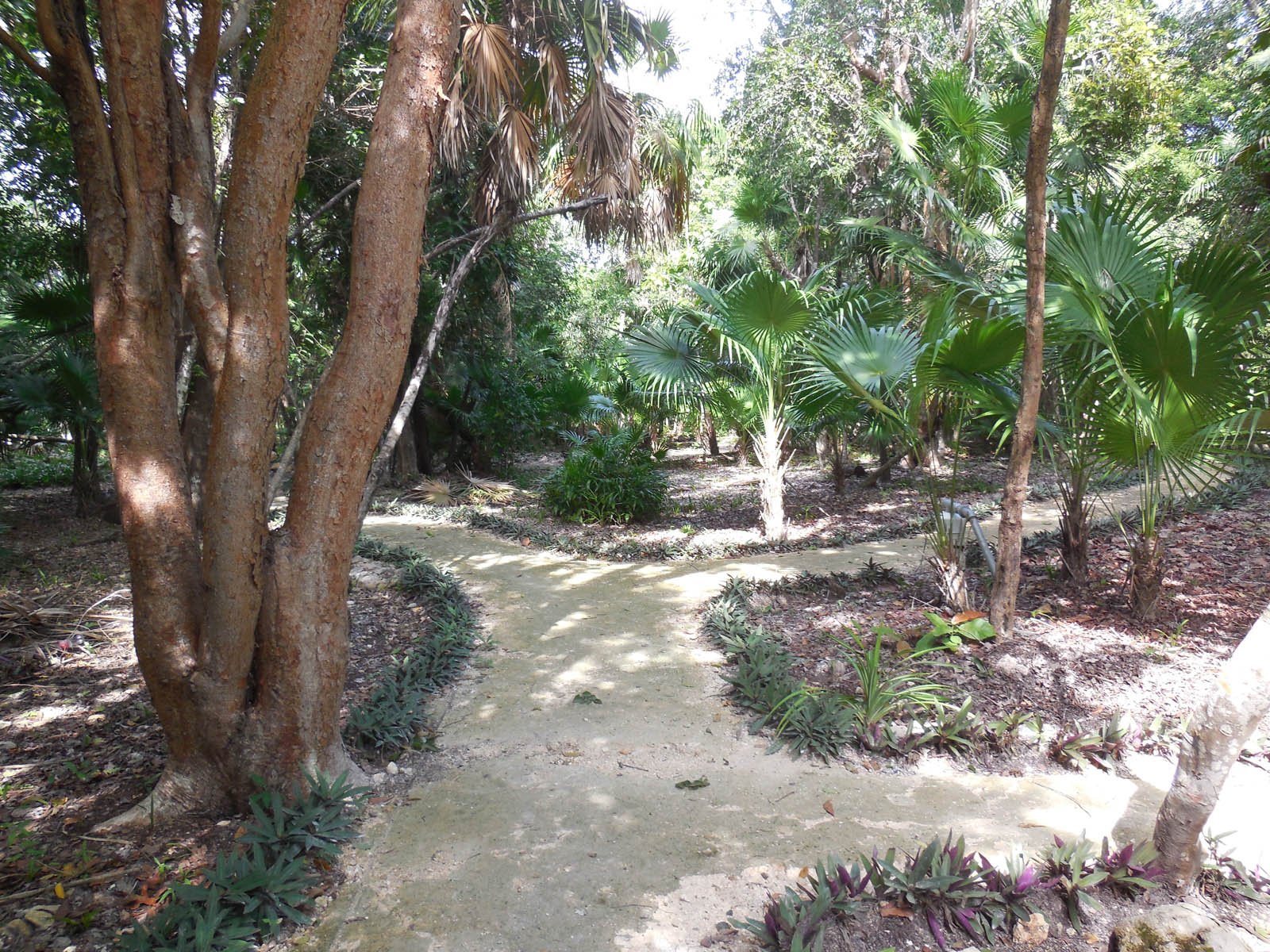 Mayan Seaside Entrance Park